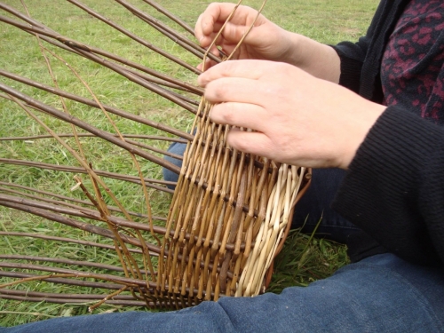 Willow Weaving